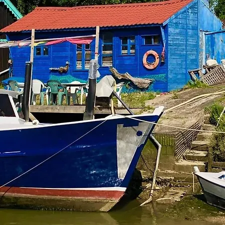 Tiny House Ronce Les Bains La Tremblade